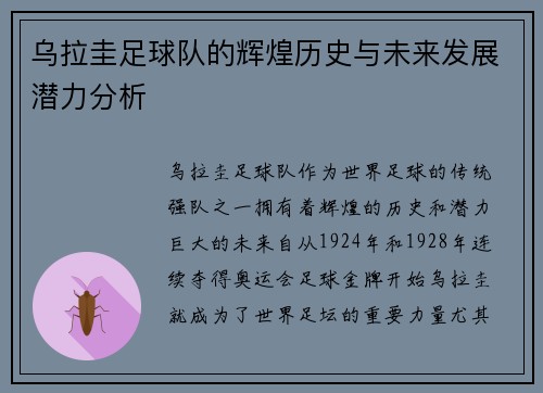 乌拉圭足球队的辉煌历史与未来发展潜力分析
