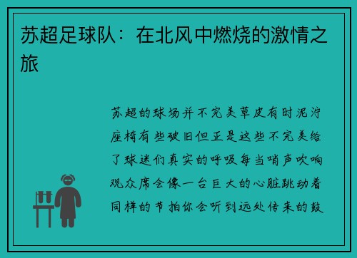苏超足球队：在北风中燃烧的激情之旅
